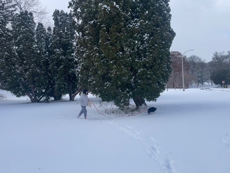 サンクスギビングの休みでSyracuseに行った時の写真です。ボストンよりさらに雪が積もっていました。運動靴しか持って行ってなかったのを後悔しました。